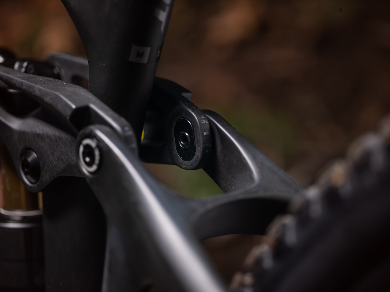 2025 Reign Advanced 1 Full Suspension Mountain Bike banner 6