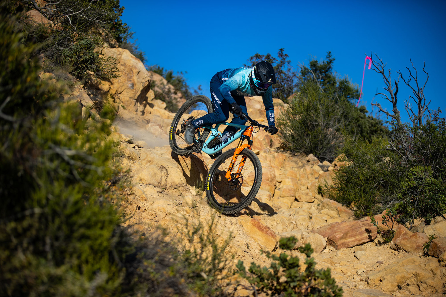 2022 Reign Advanced Pro 29 1 Full Suspension Mountain Bike banner 2