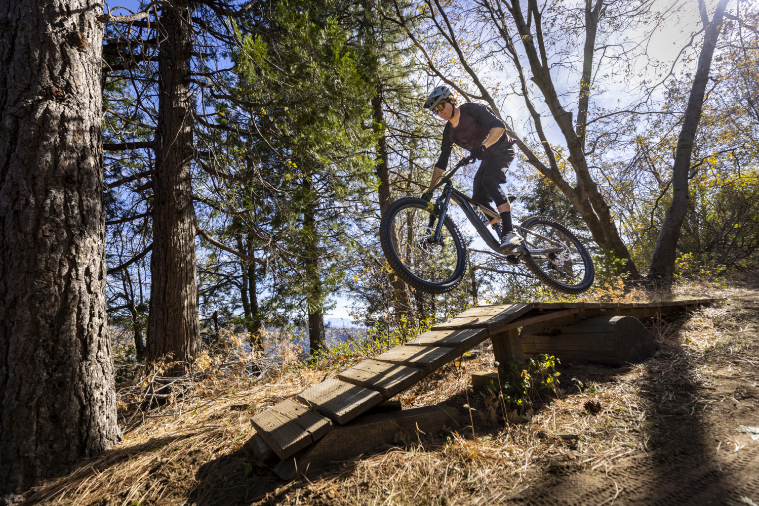 2023 Reign 2 Full Suspension Mountain Bike banner 1