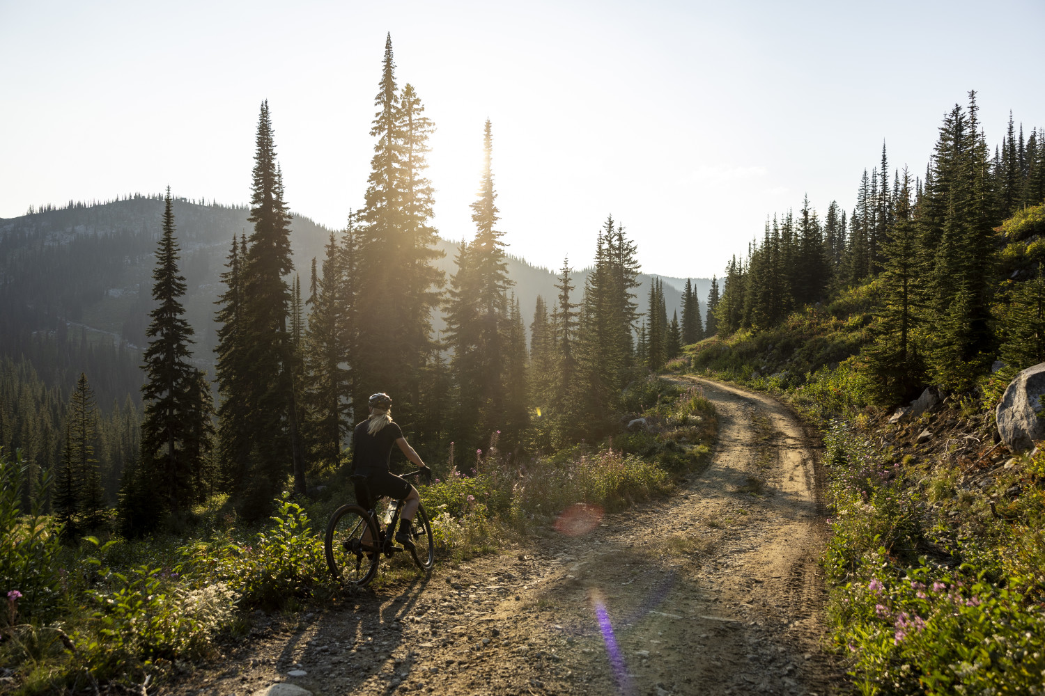 2024 Devote Advanced Pro Gravel Road Bike banner 18