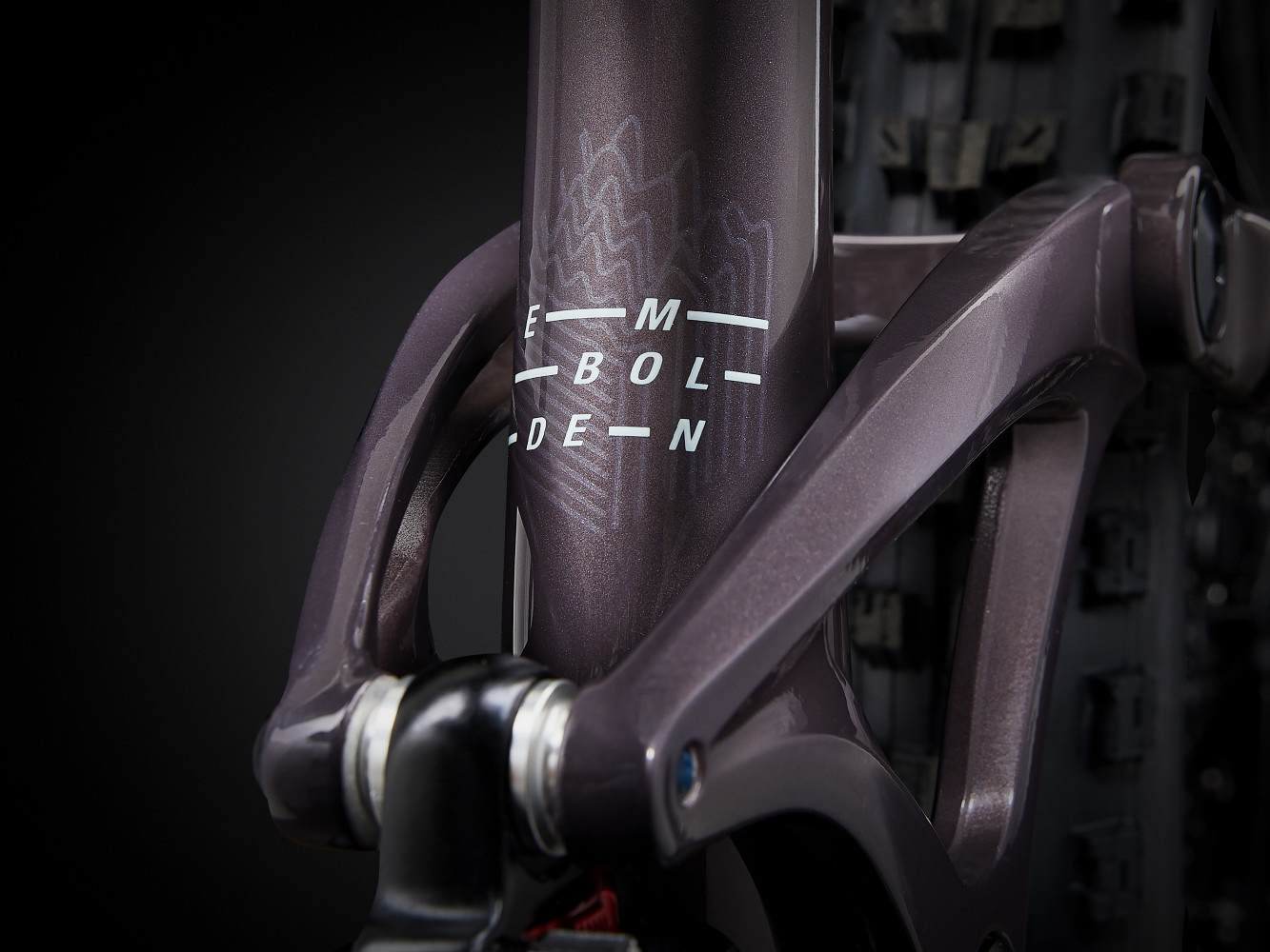 2024 Embolden 1 Full Suspension Mountain Bike banner 3