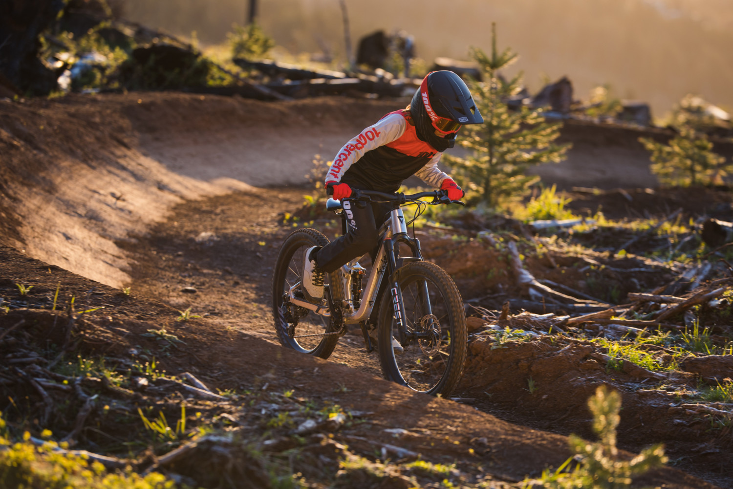 Faith 24 Kids Mountain Bike banner 25