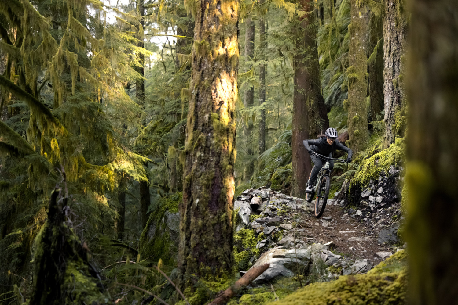 2026 Embolden Full Suspension Mountain Bike banner 8
