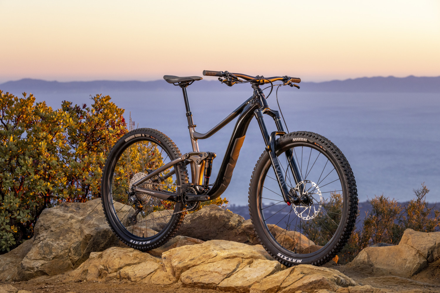 2023 Reign 2 Full Suspension Mountain Bike banner 5