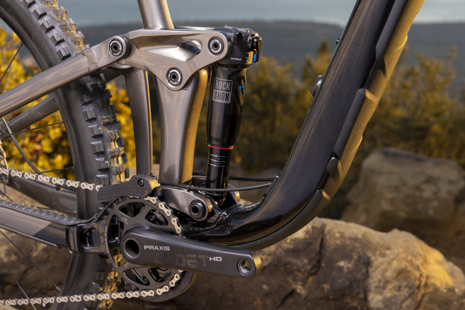 2023 Reign 2 Full Suspension Mountain Bike banner 7