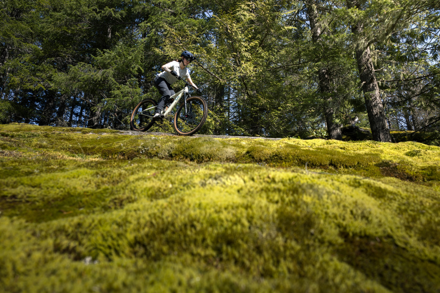 2026 Embolden Full Suspension Mountain Bike banner 9