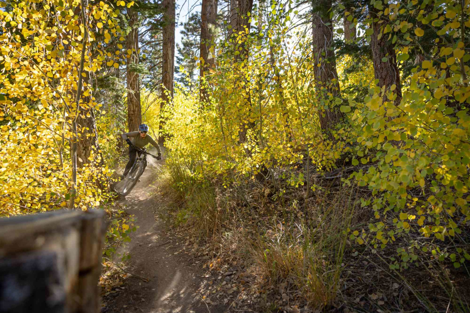 2025 Intrigue X Advanced 2 Full Suspension Mountain Bike banner 3