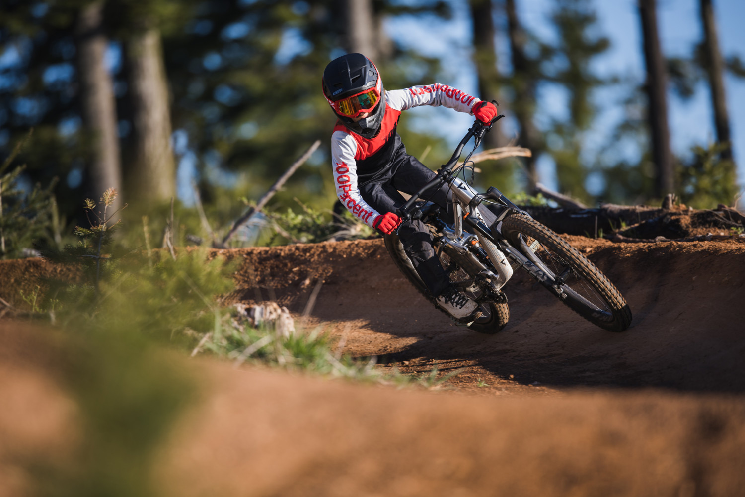 Faith 24 Kids Mountain Bike banner 20