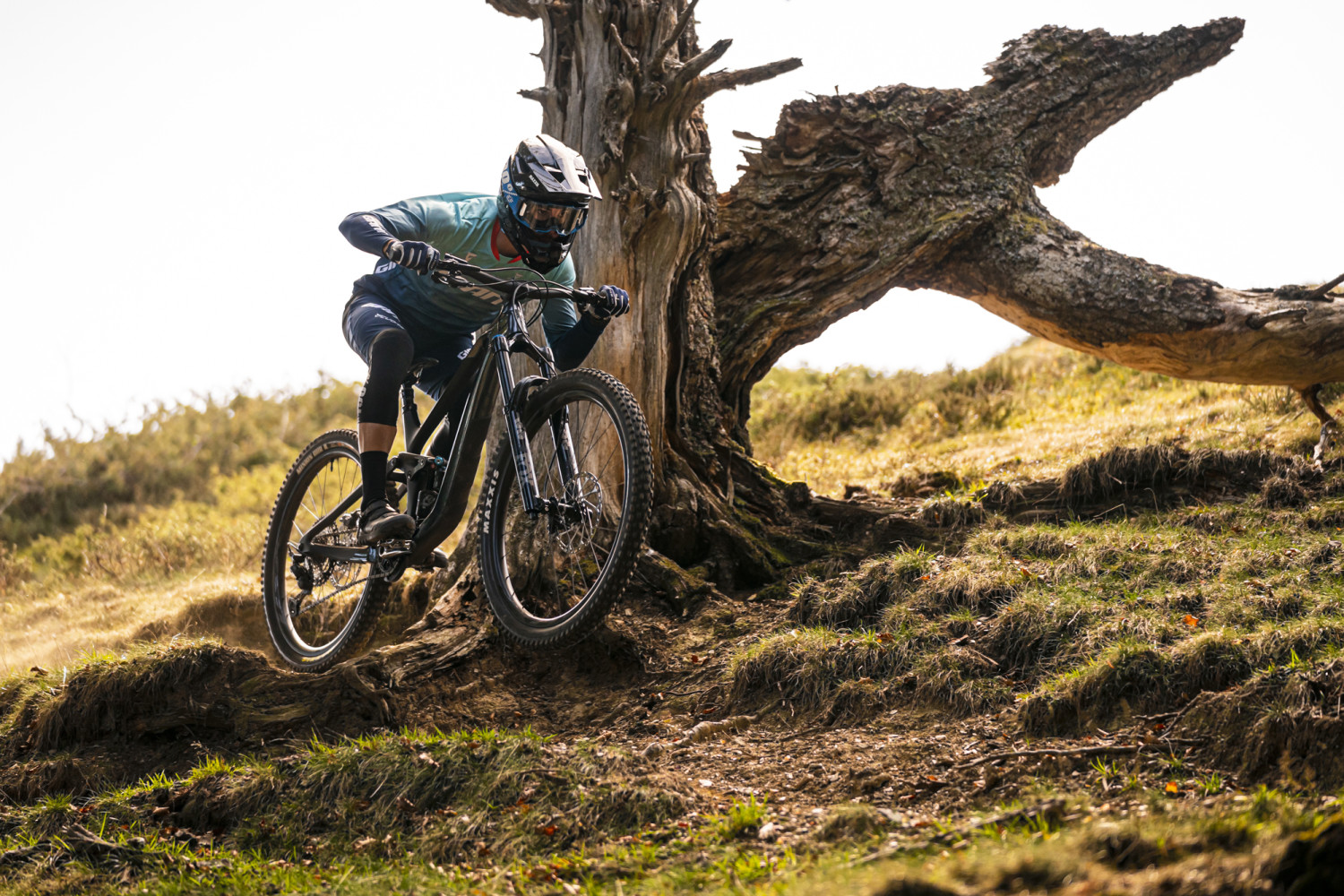 2023 Reign Advanced Pro 1 Full Suspension Mountain Bike banner 4