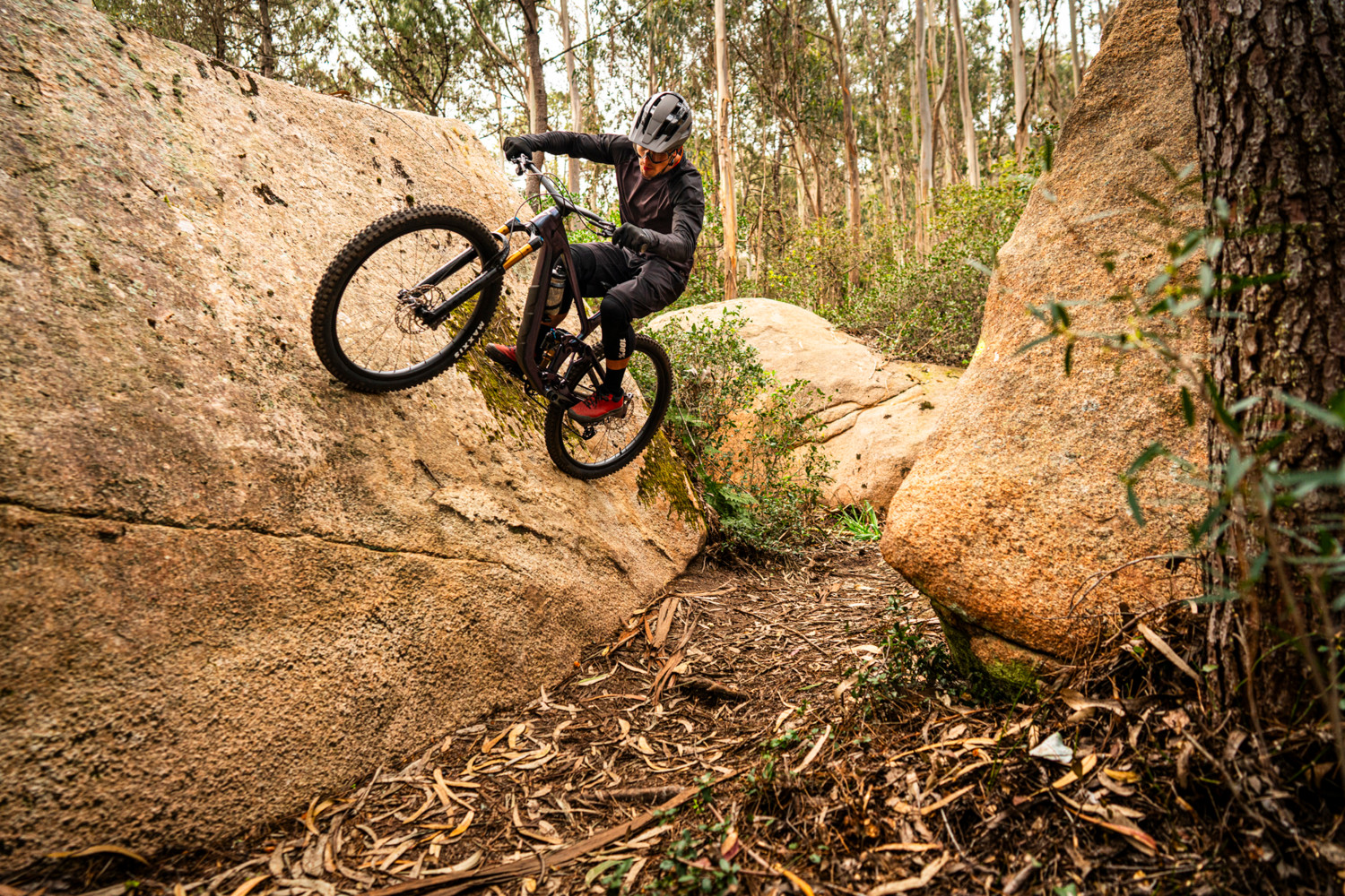 2024 Trance X Advanced 0 Full Suspension Mountain Bike banner 11