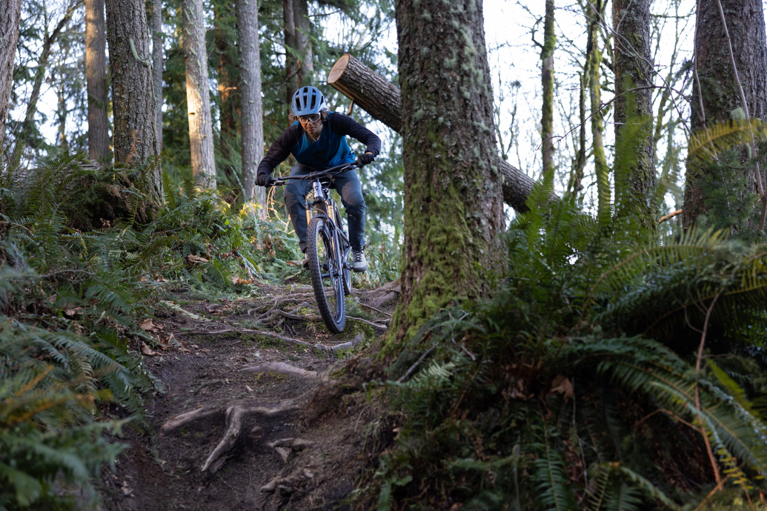 2025 Reign Advanced 1 Full Suspension Mountain Bike banner 12