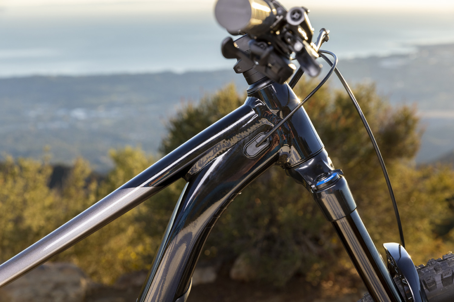 2023 Reign 2 Full Suspension Mountain Bike banner 9