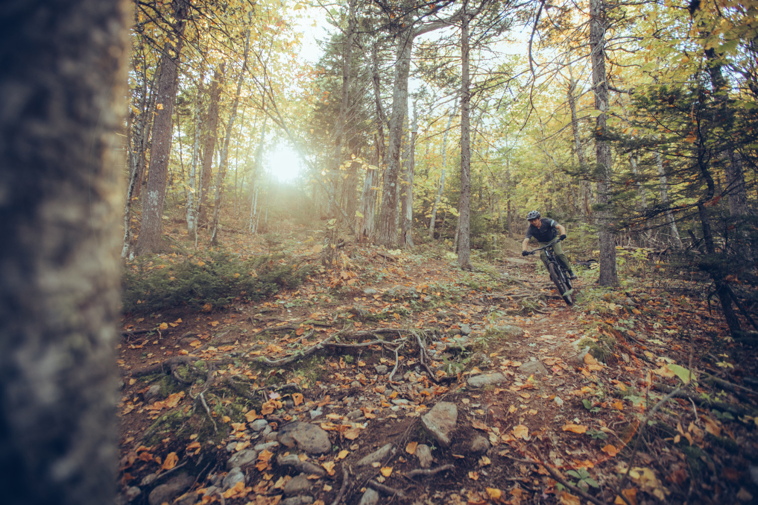 2022 Trance Advanced Pro 29 1 Full Suspension Mountain Bike banner 5