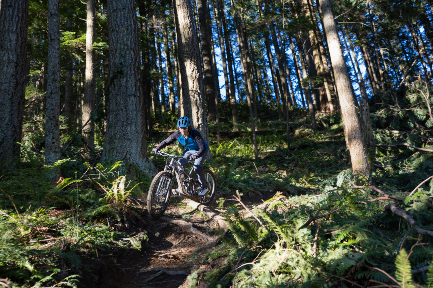 2025 Reign Advanced 1 Full Suspension Mountain Bike banner 7