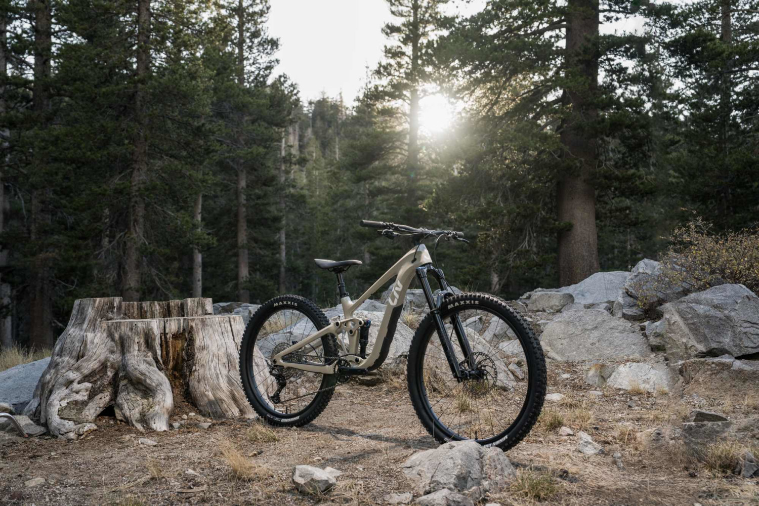 2025 Intrigue X Advanced 2 Full Suspension Mountain Bike banner 5