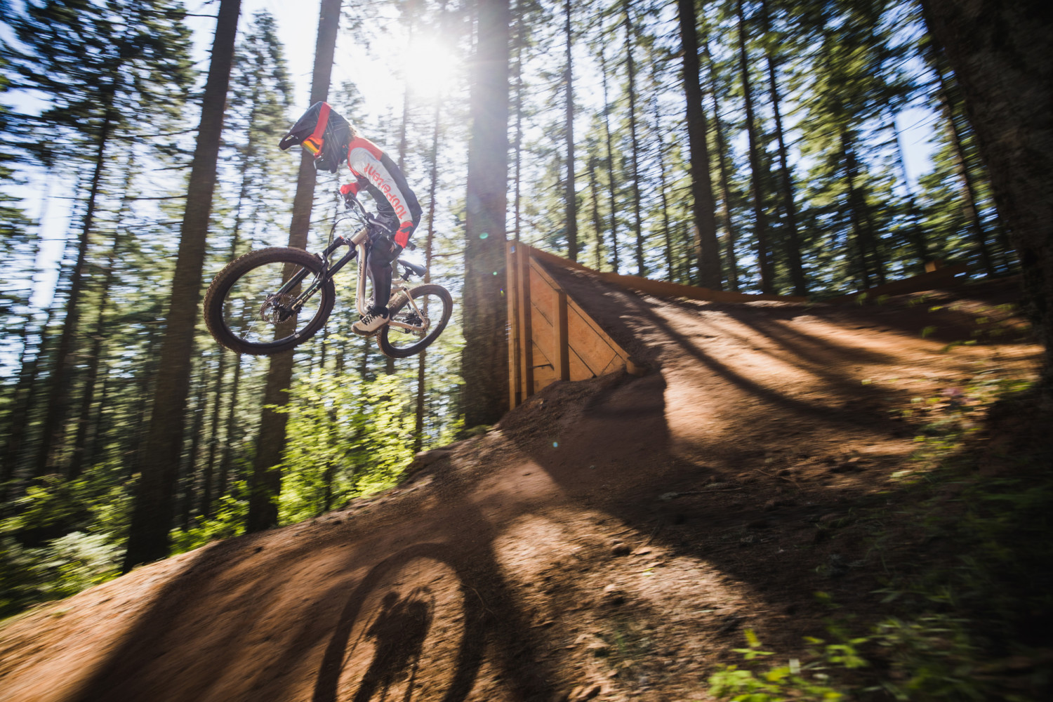 Faith 24 Kids Mountain Bike banner 21