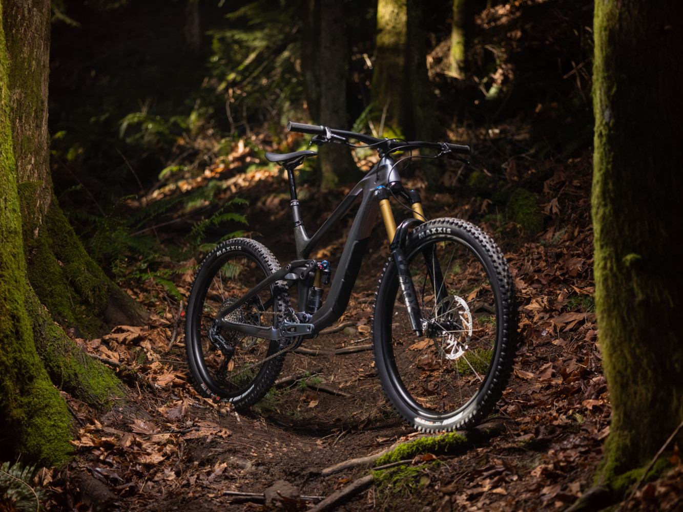 2025 Reign Advanced 1 Full Suspension Mountain Bike banner 2