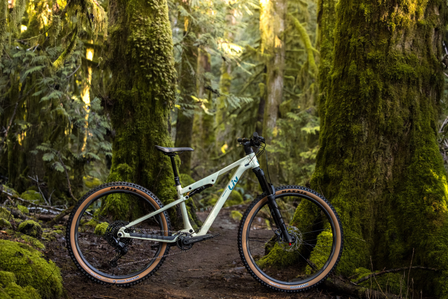 2026 Embolden Full Suspension Mountain Bike banner 1