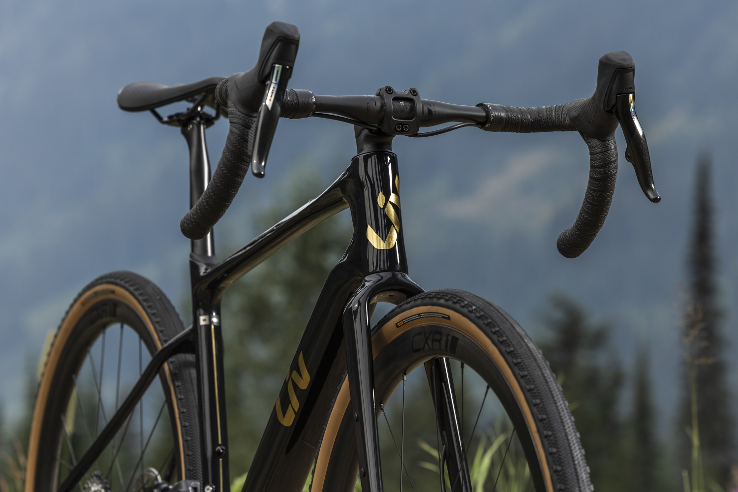 2024 Devote Advanced Pro Gravel Road Bike banner 12