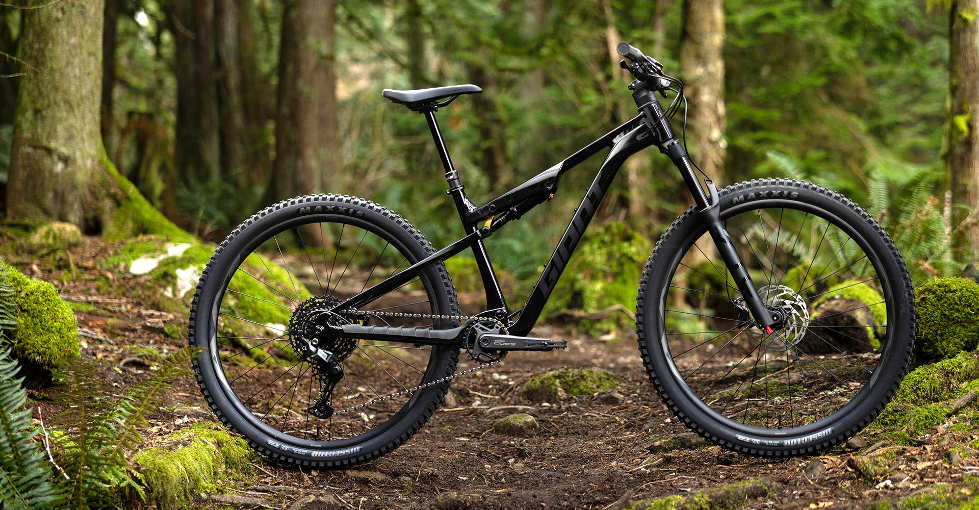 Stance mountain bike in forest
