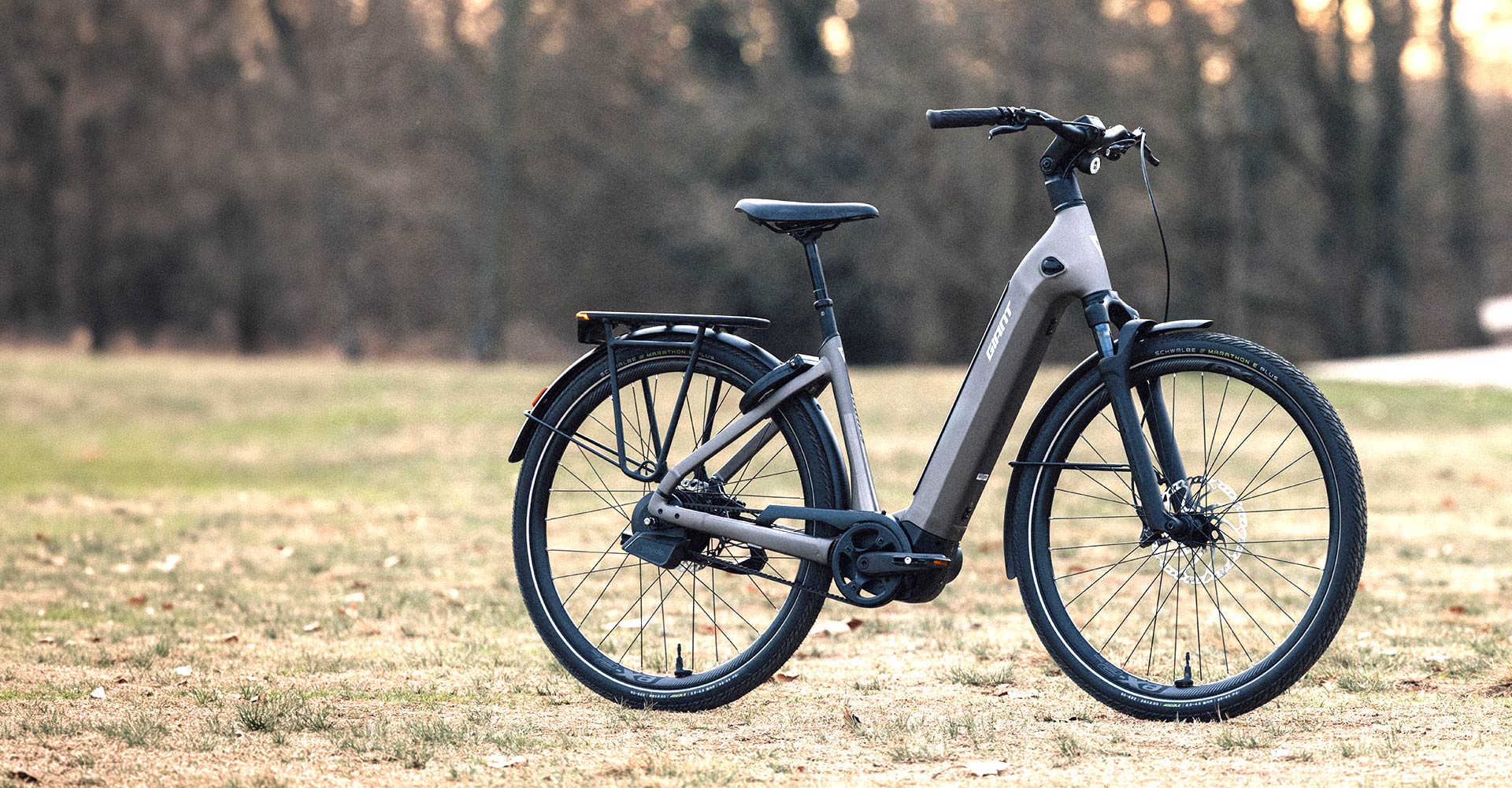 AnyTour E+ electric bike leaned on kickstand on grass