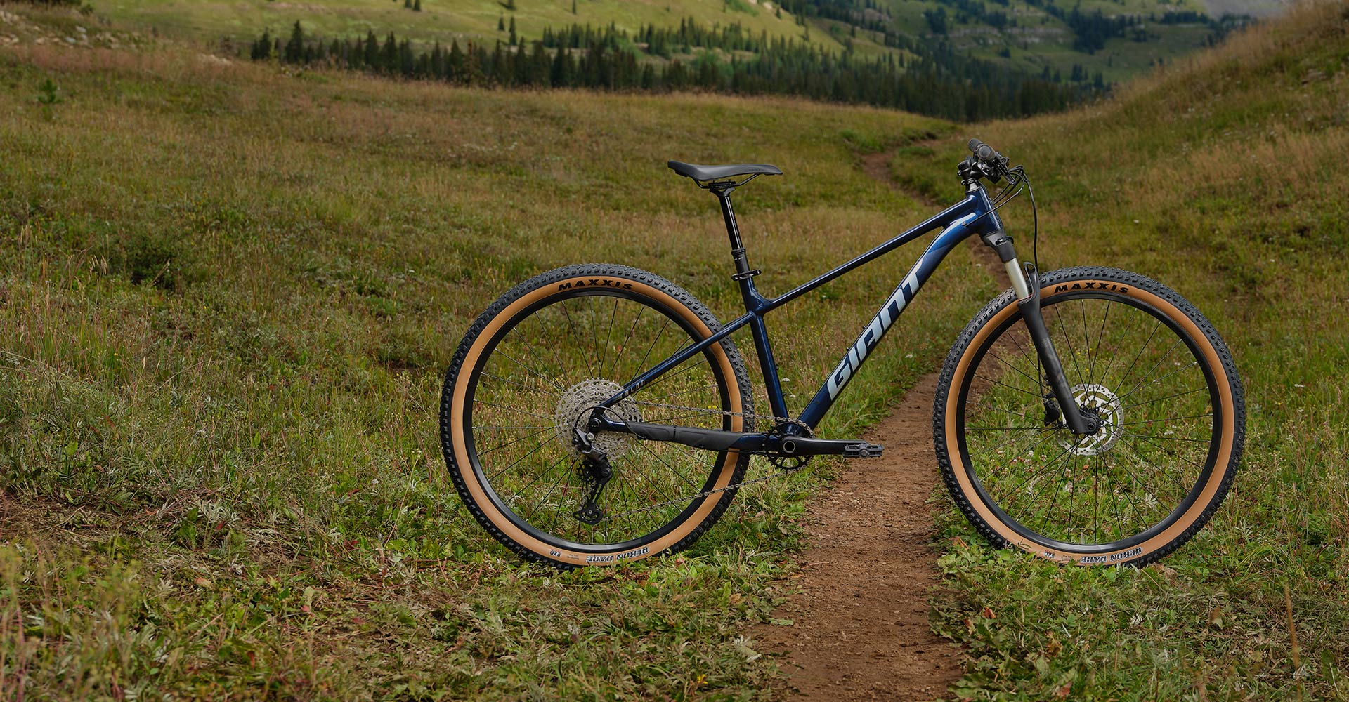 mountain bike in profile