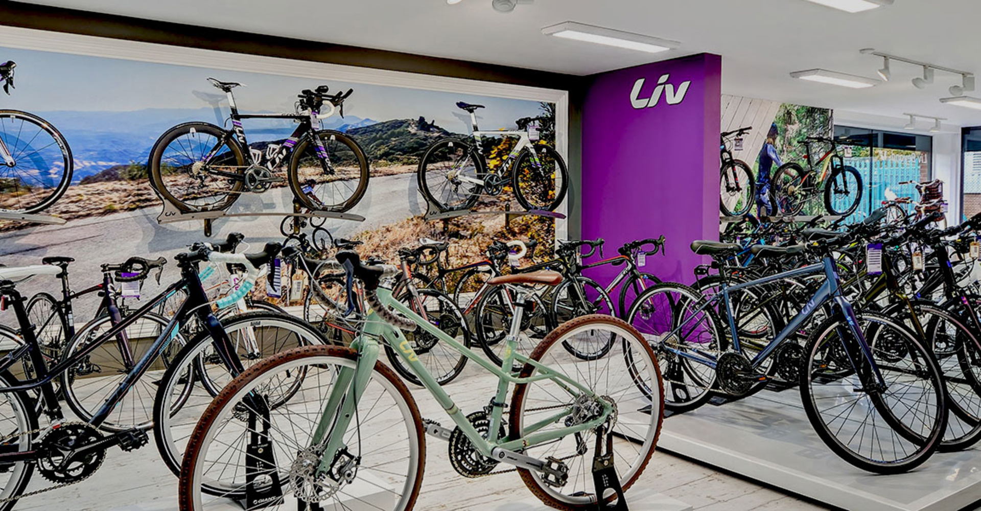 Giant Brand Store Norwich