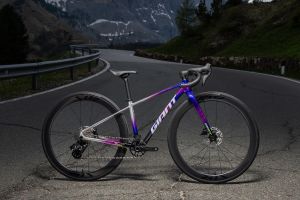 Seek Wins Design Gold as Media Hails Giant's Youth Road Revo...