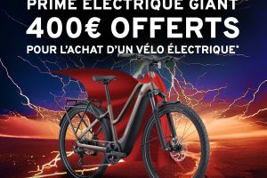 PRIME ELECTRIQUE