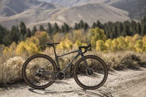 Nuovo stile, identico successo per la Devote!