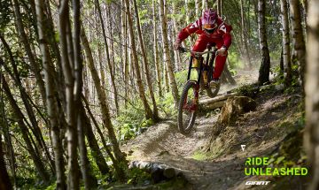 Mountain biker rides down a rough trail.
