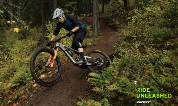 Mountain biker riding a trail in the forest