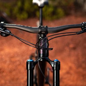 Reign Advanced Pro 29 Bike