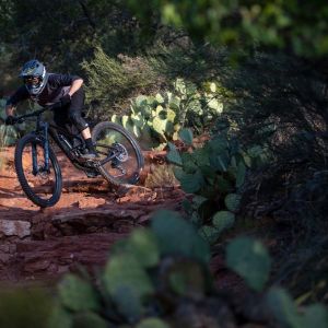 Reign Advanced Pro 29 Bike