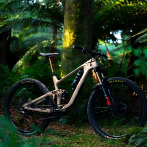 Mountain bike in tropical forest