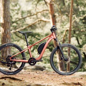 Talon E+ 24 Profile Photo