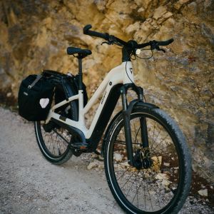 Electric bike with bags and lights