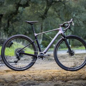 Revolt X gravel bike photographed in nature