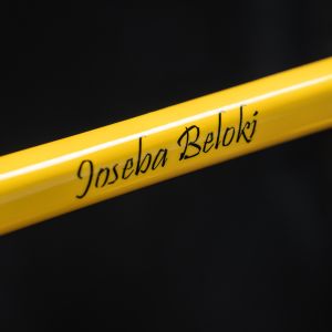 Close up view of Joseba Beloki name on Giant TCR Advanced SL on top tube.