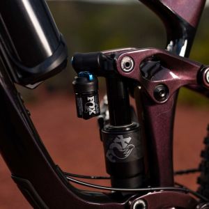 Reign Advanced Pro 29 Bike