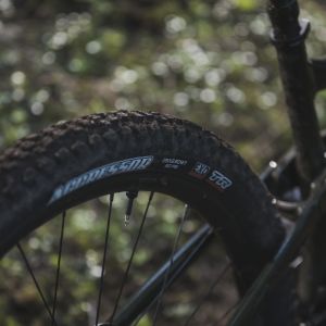 Rear view of Giant Trance 29.