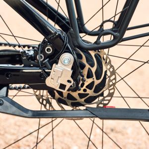 Close up view of Giant Anytour E+ rear wheel.