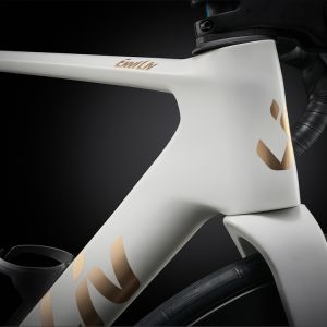 EnviLiv Advanced 1 Headtube