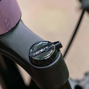 The Liv Embolden 2, in Purple Ash. Availability varies by country.