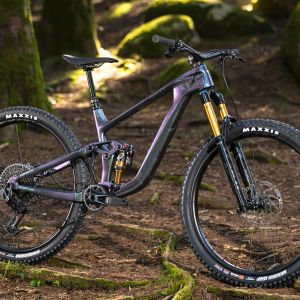 Mountain bike in profile in forest environment