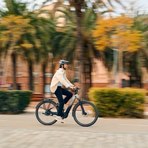 Cyclist riding Giant Anytour E+ through a park.