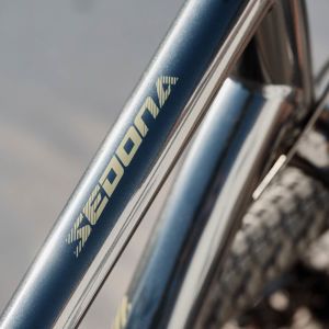 Sedona DX Bike