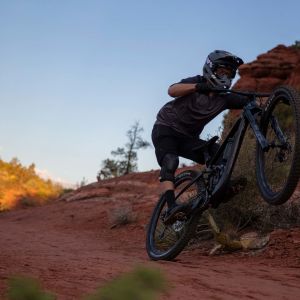 Reign Advanced Pro 29 Bike