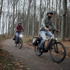 Giant AnyTour E+ Electric Bike