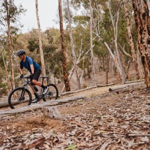 Mountain biker on Talon